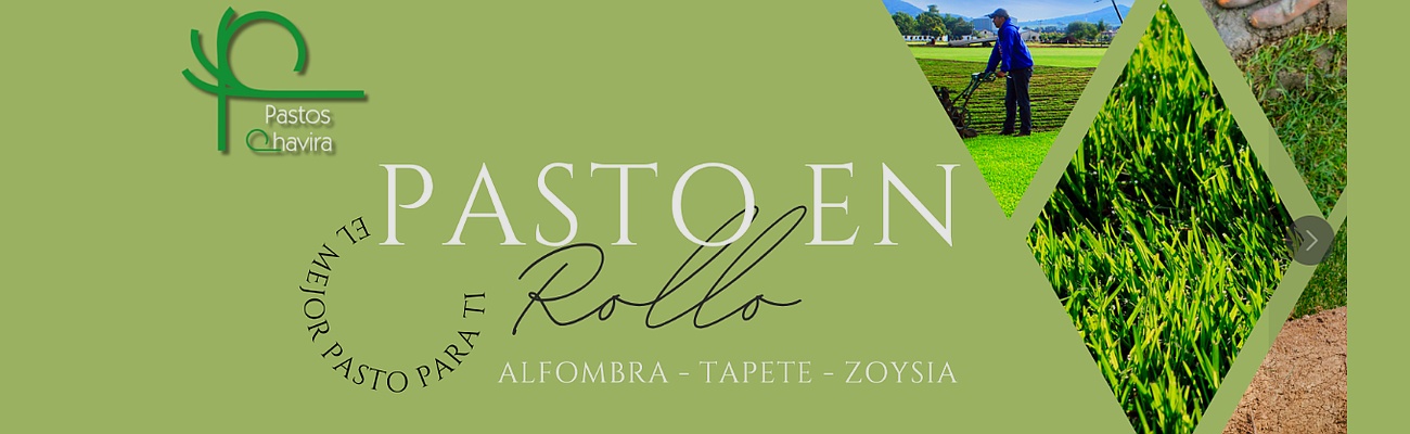 Pastos Chavira