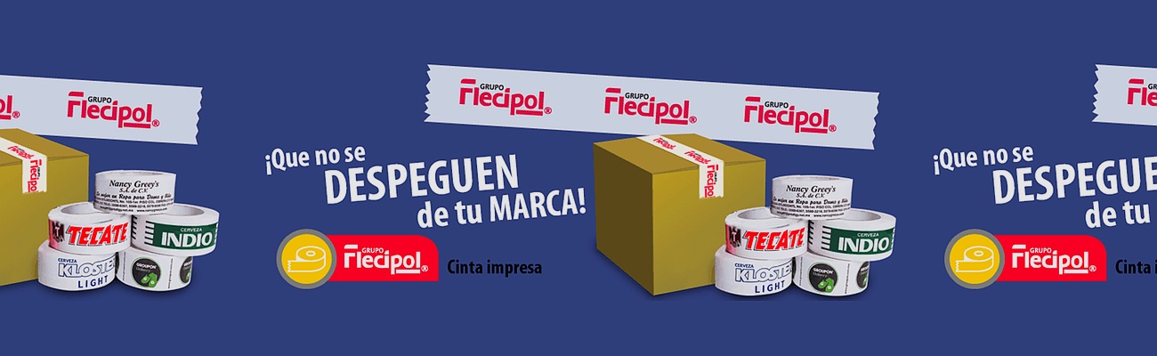 Grupo Flecipol